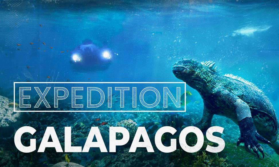 Expedition Galapagos: 3D 360 Experience