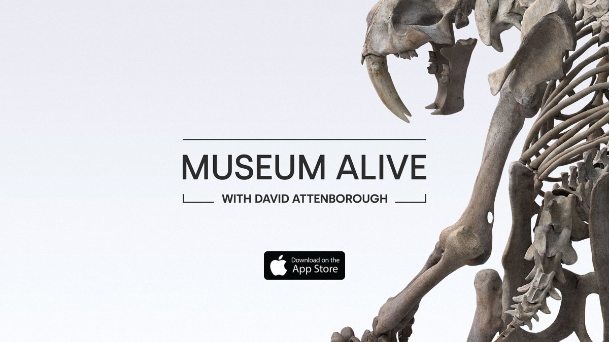 Museum Alive AR With David Attenborough